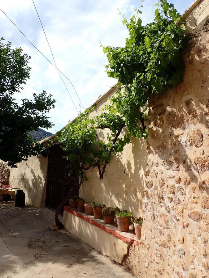 Albergue Casa De L'Aigua ベセイテ エクステリア 写真